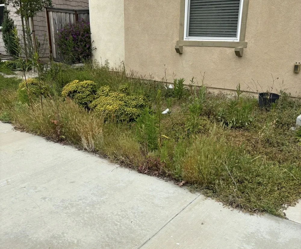 Professional residential landscaping in Oxnard, CA by Ledesma Landscape