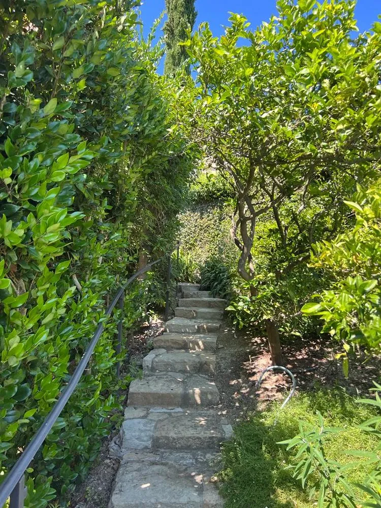 Affordable lawn care service in Oxnard, CA by Ledesma Landscape