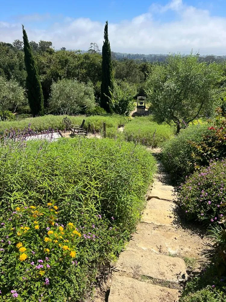 Local landscape installation near you across Oxnard, CA - Ledesma Landscape