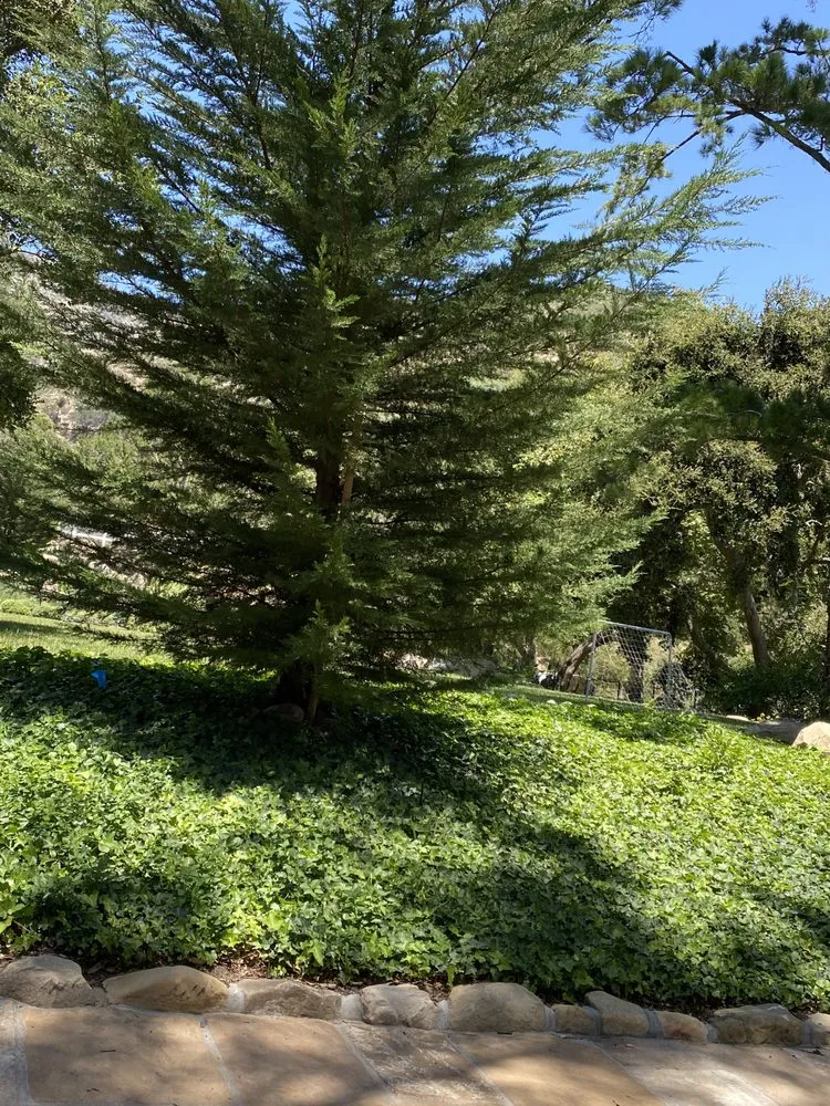 Custom lawn mowing service experts serving Oxnard, CA - Ledesma Landscape