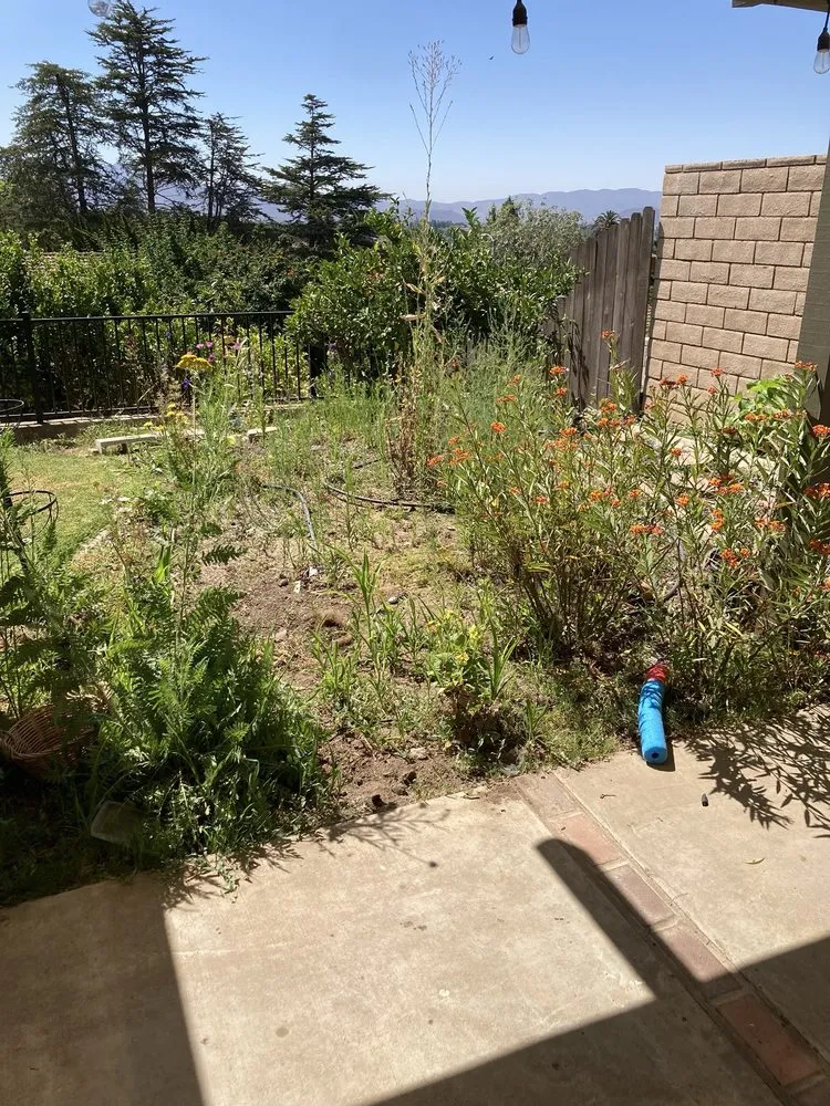 Trusted lawn mowing service for beautiful yards in Oxnard, CA by Ledesma Landscape