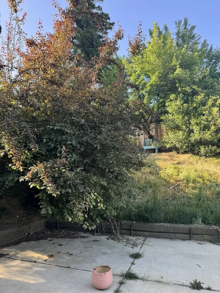 Affordable garden landscaping for beautiful yards in Bay Point, CA by Ledezma Landscaping