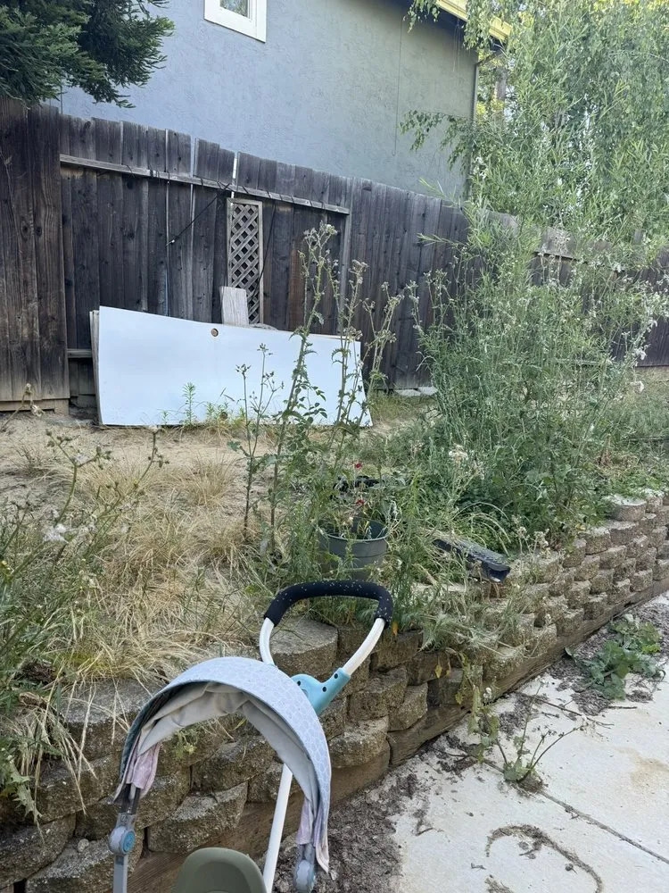 Professional landscape installation in Bay Point, CA by Ledezma Landscaping