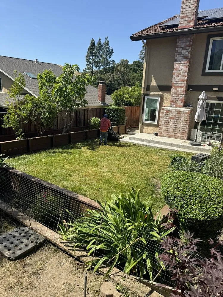 Reliable residential landscaping for residential properties across Bay Point, CA - Ledezma Landscaping