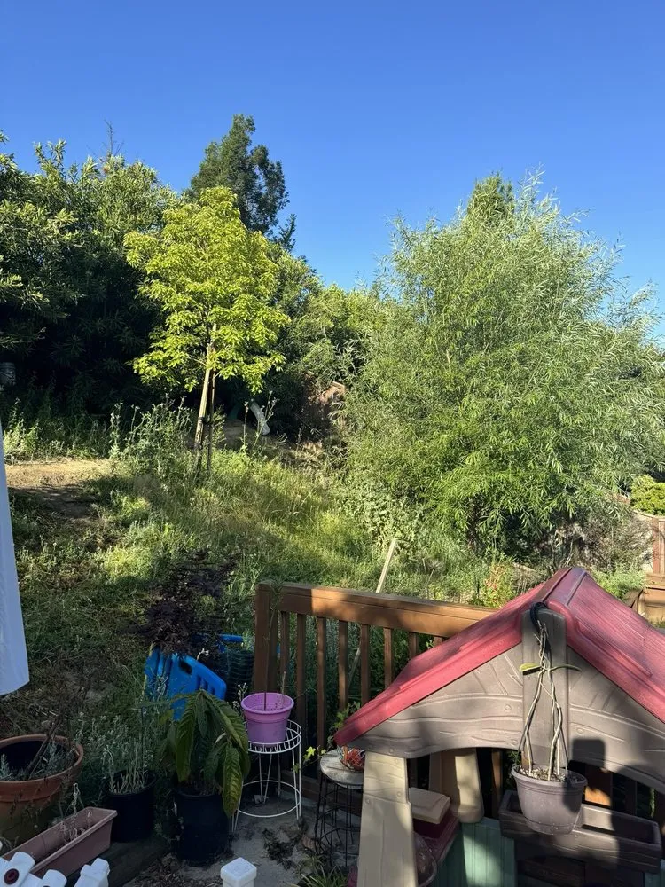 Expert lawn mowing service with custom design across Bay Point, CA - Ledezma Landscaping