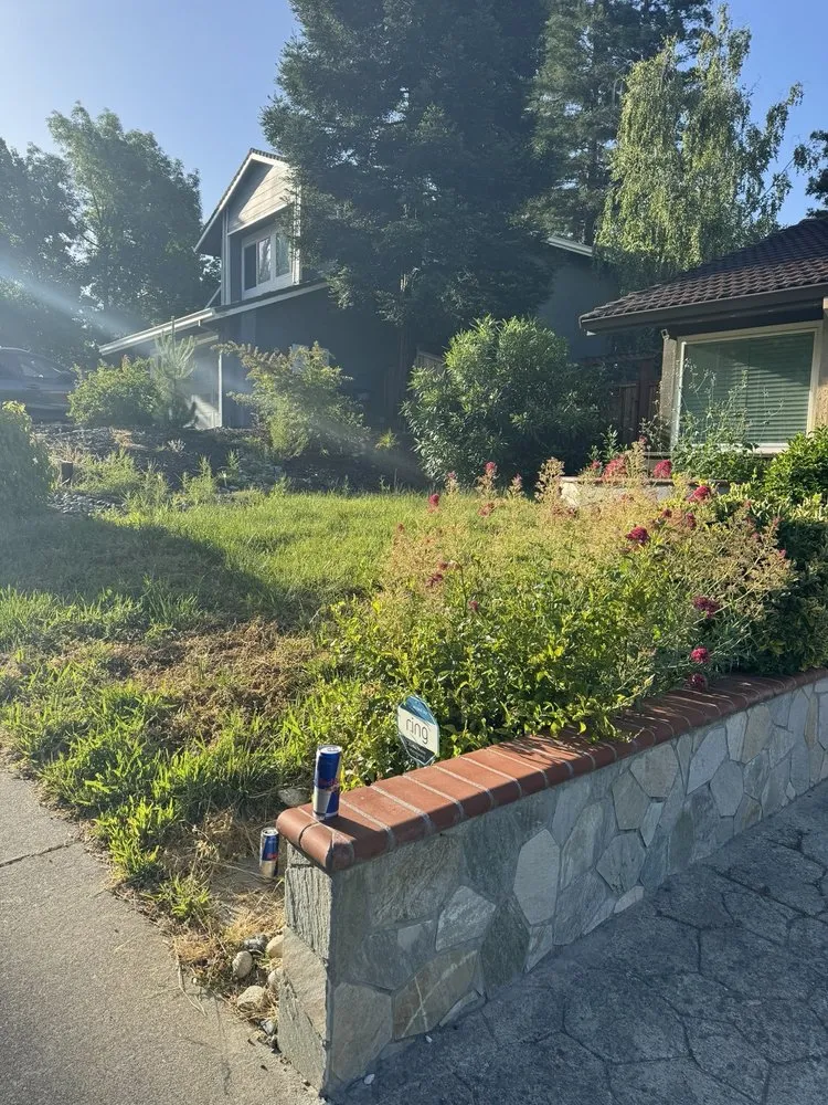 Expert yard maintenance in Bay Point, CA by Ledezma Landscaping