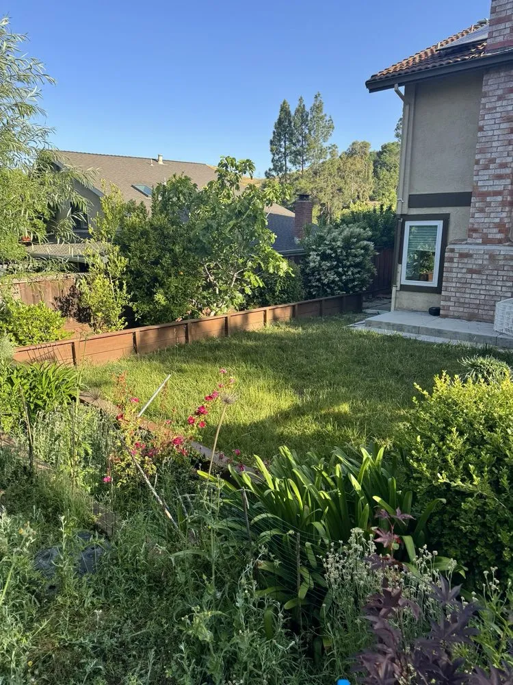 Reliable lawn care service in Bay Point, CA - Ledezma Landscaping