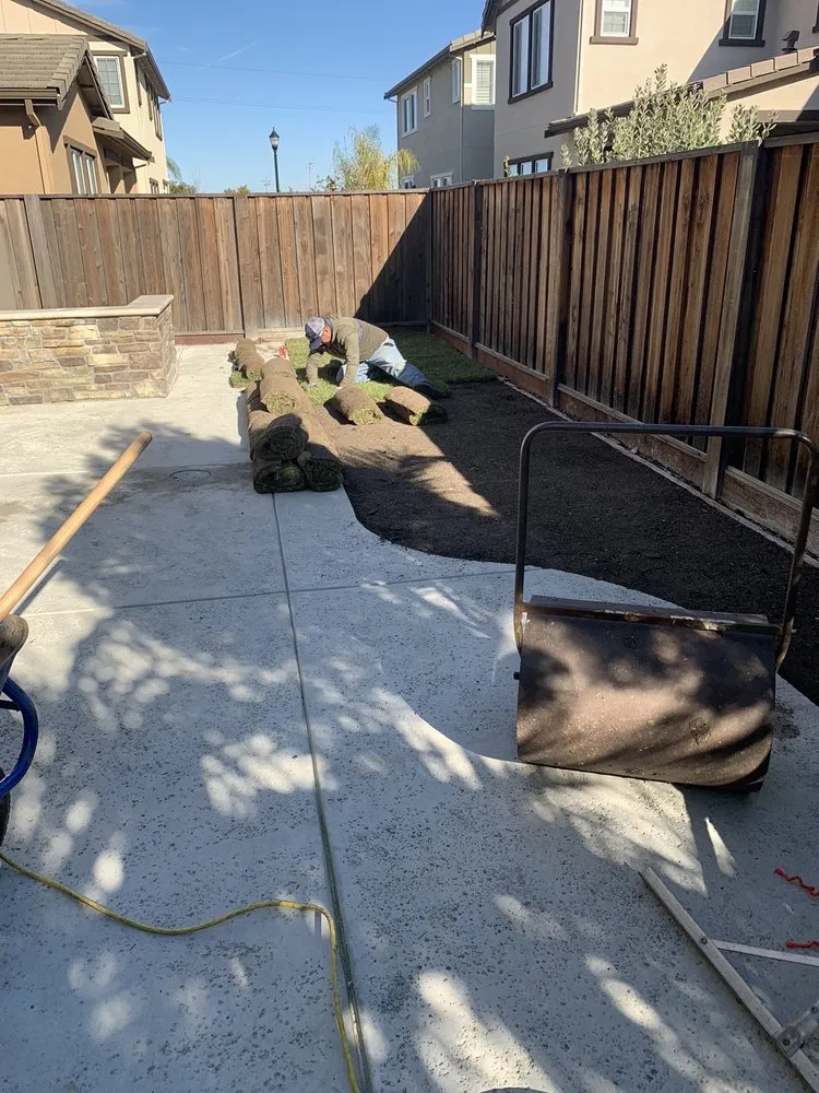Custom yard cleanup service experts serving Bay Point, CA - Ledezma Landscaping