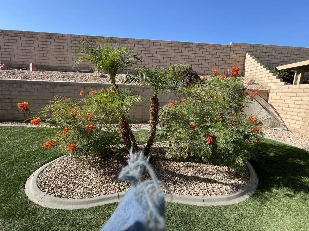 Local residential landscaping experts serving Coachella, CA - Ledezma's Gardening