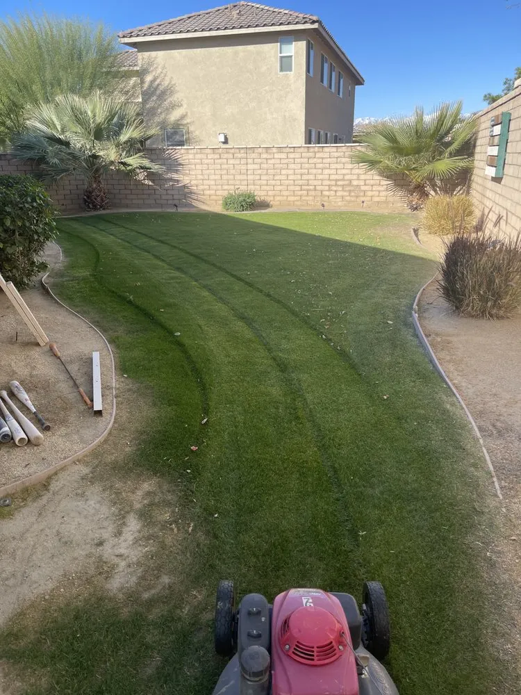 Affordable outdoor landscaping in Coachella, CA by Ledezma's Gardening
