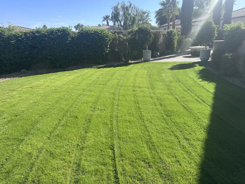 Local landscape installation with custom design in Coachella, CA by Ledezma's Gardening