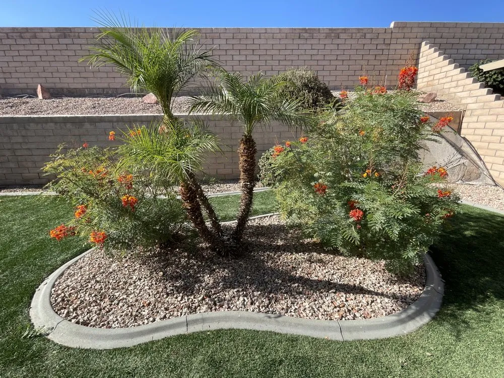 Custom landscape design for year-round maintenance across Coachella, CA - Ledezma's Gardening