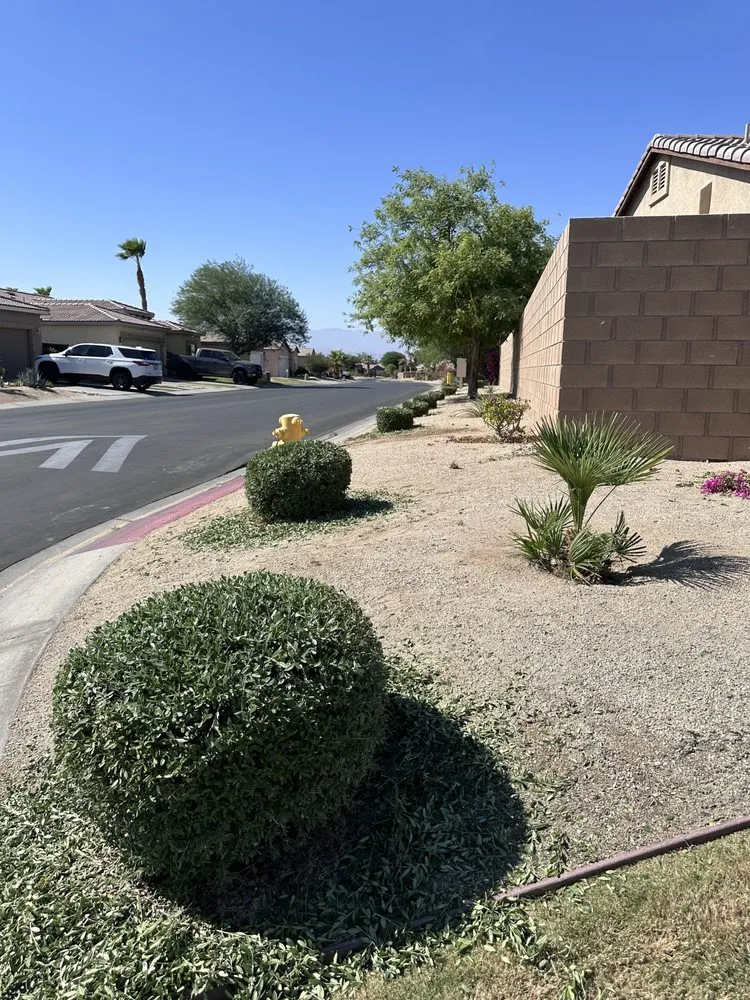 Top-rated landscape installation with custom design in Coachella, CA by Ledezma's Gardening