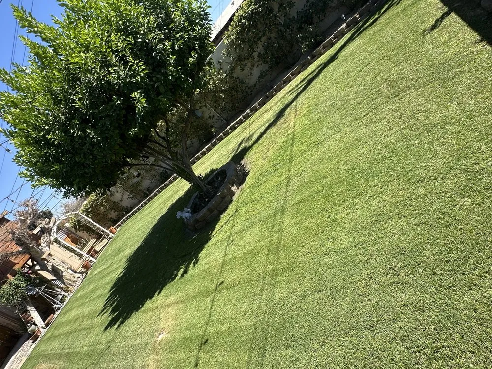 Expert landscape design experts serving Coachella, CA - Ledezma's Gardening