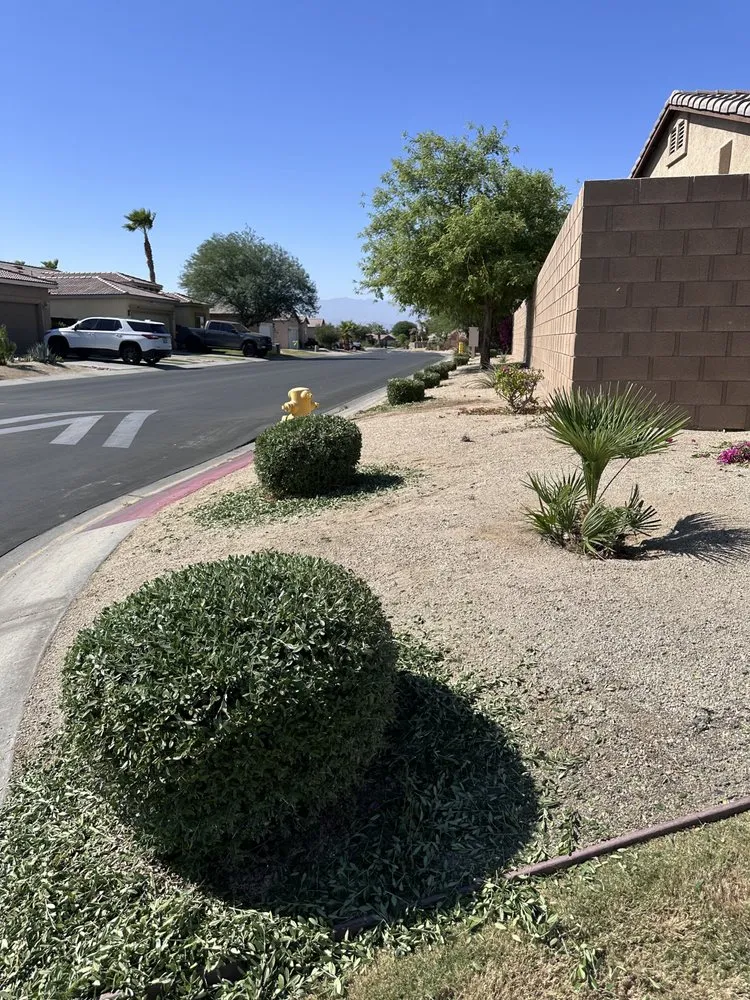 Affordable landscape design for year-round maintenance across Coachella, CA - Ledezma's Gardening