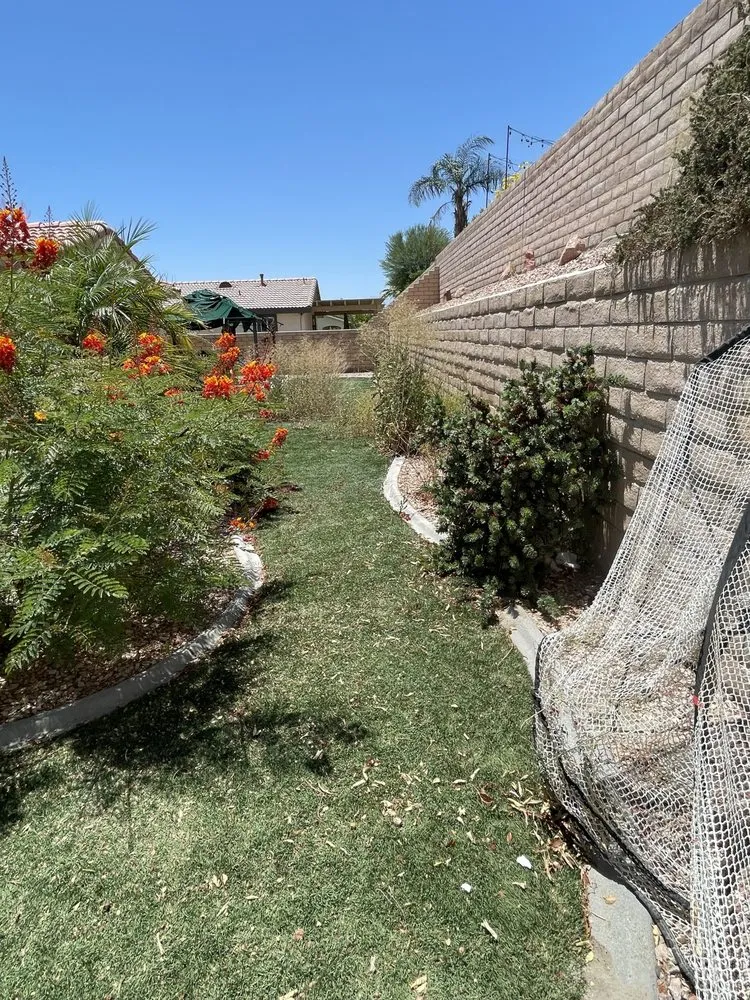 Reliable lawn care service experts serving Coachella, CA - Ledezma's Gardening