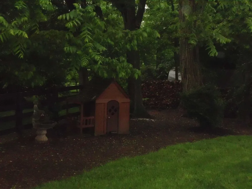 Professional yard maintenance experts serving Lexington, KY - Ledford's Lawn & Landscaping