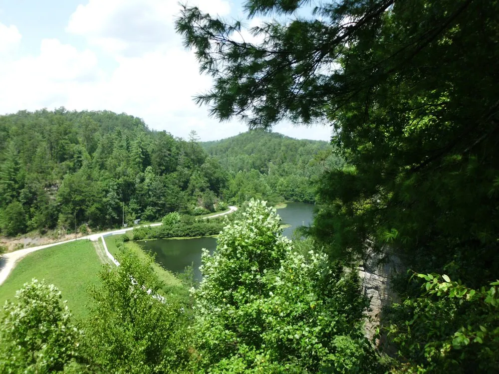 Local yard maintenance for residential properties in Lexington, KY by Ledford's Lawn & Landscaping