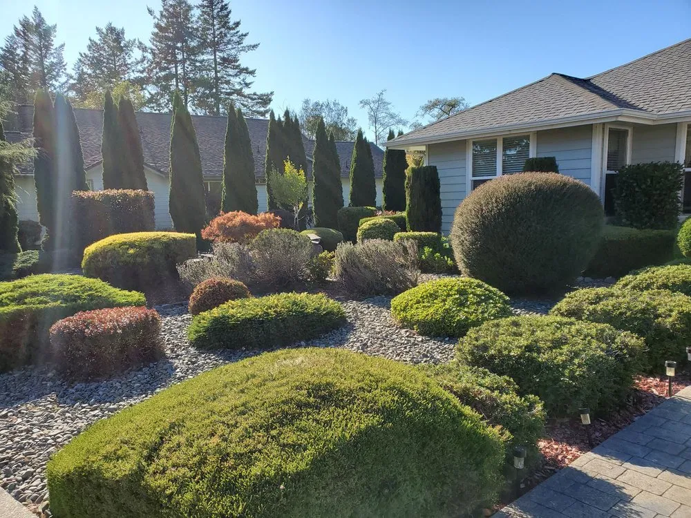 Trusted lawn care service in Brookings, OR by Ledford's Lawn Care