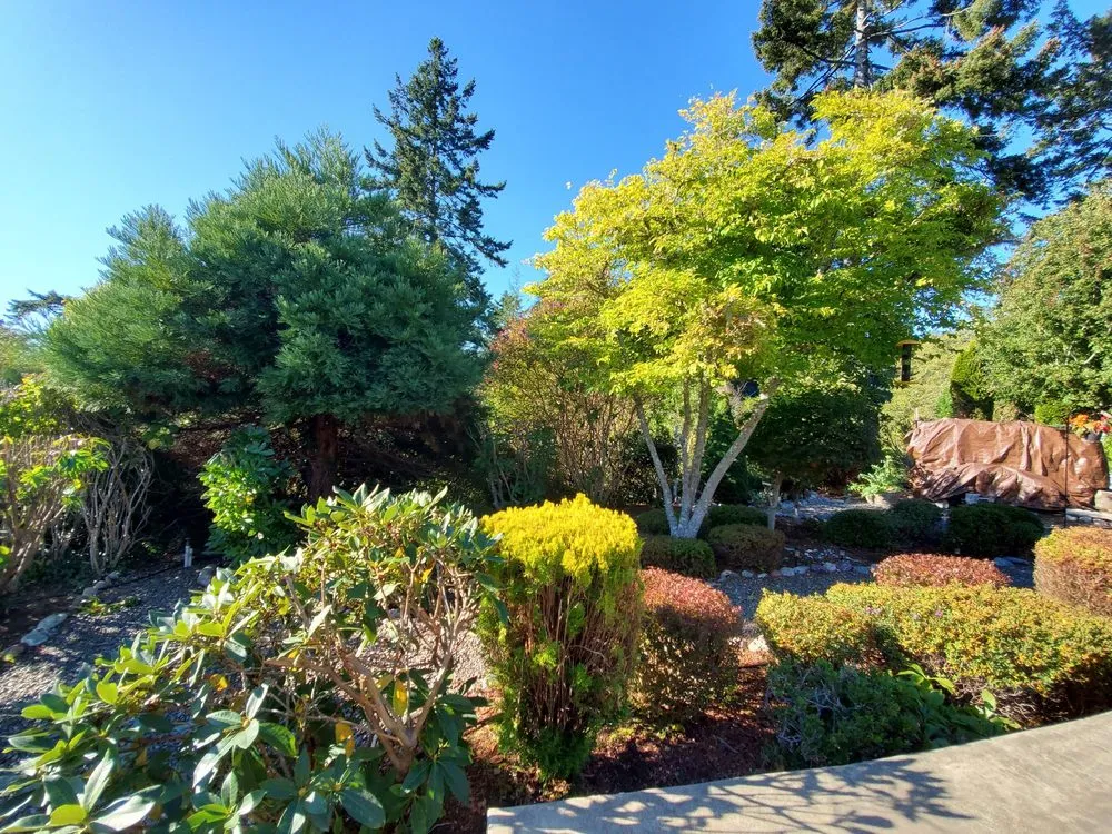Reliable landscape design with custom design in Brookings, OR by Ledford's Lawn Care