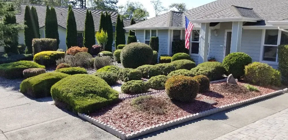 Expert yard maintenance experts serving Brookings, OR - Ledford's Lawn Care