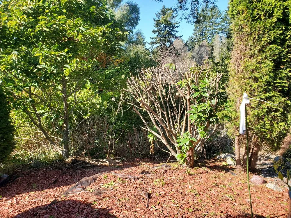 Reliable lawn mowing service in Brookings, OR - Ledford's Lawn Care