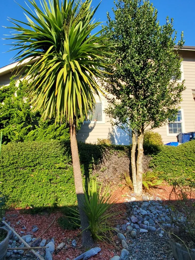 Expert garden landscaping in Brookings, OR - Ledford's Lawn Care