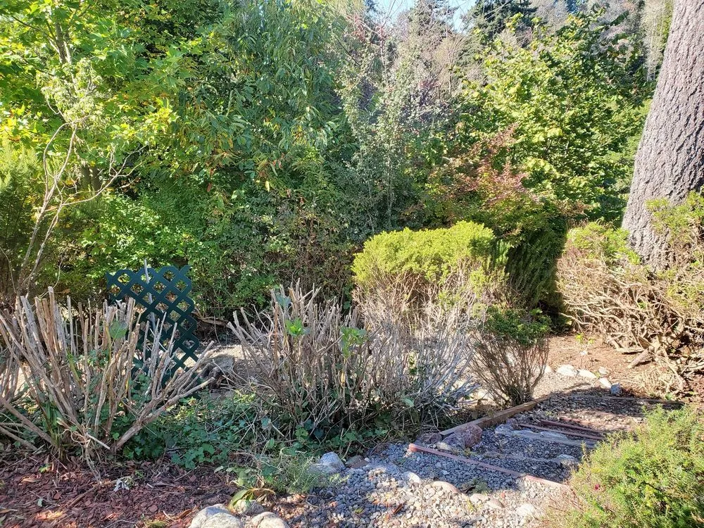 Custom yard maintenance for homes in Brookings, OR by Ledford's Lawn Care