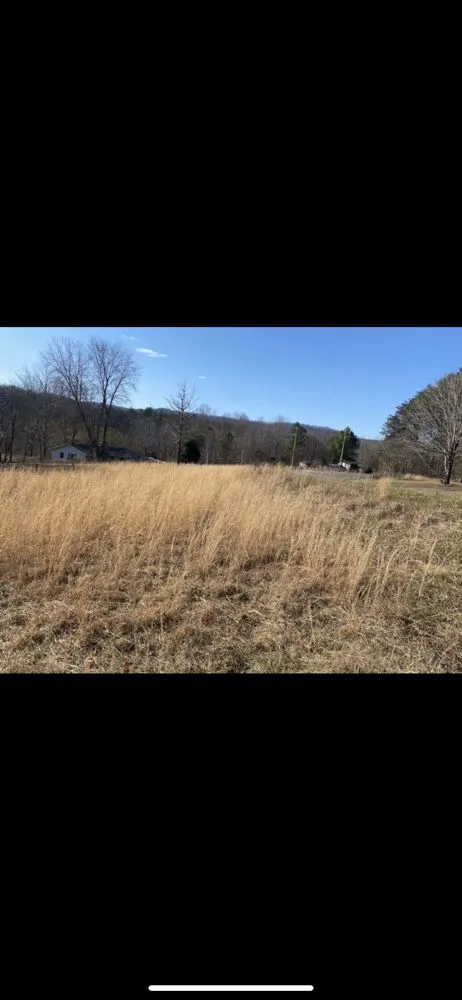 Top-rated yard cleanup service in Marion, NC by Ledford’s Lawn-Care