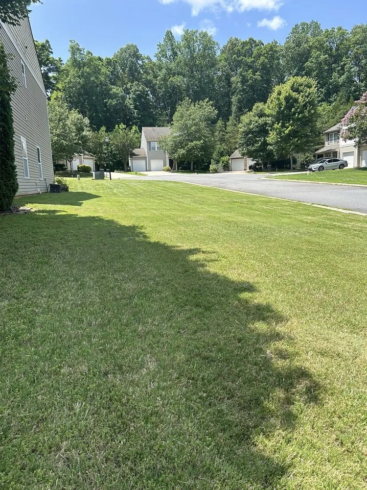 Top-rated yard maintenance near you across Cramerton, NC - Ledford’s Lawn Service