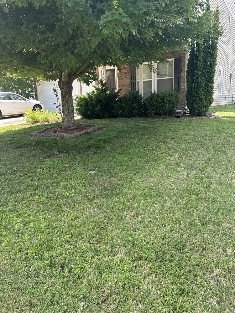 Local lawn care service for year-round maintenance in Cramerton, NC by Ledford’s Lawn Service