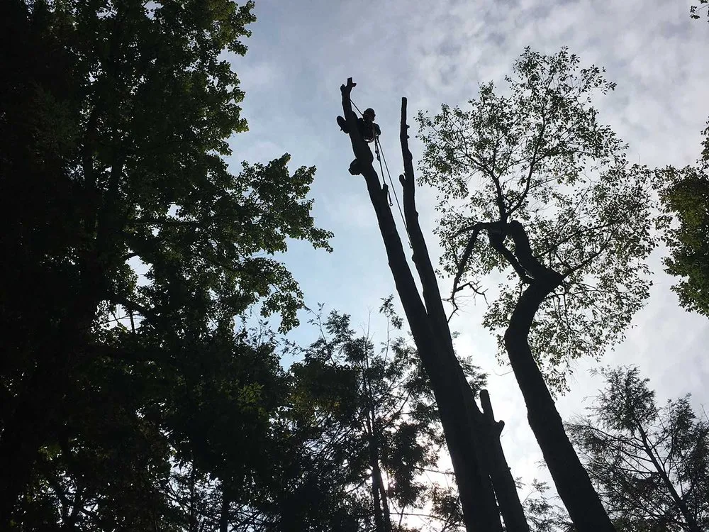 Local residential landscaping for beautiful yards in Paupack, PA by Ledgedale Lawn & Landscape