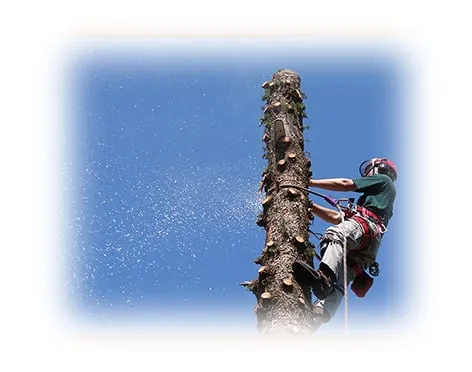 Ledgedale Lawn & Landscape