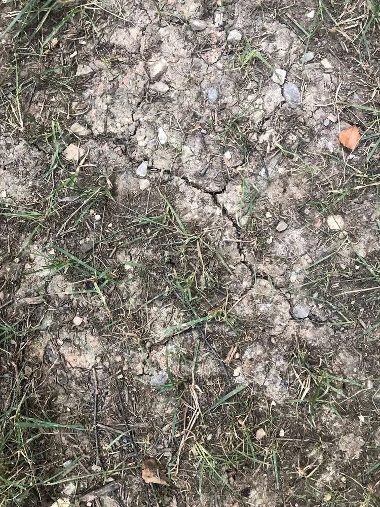 Local lawn mowing service experts serving Knoxville, TN - Ledington Landscaping