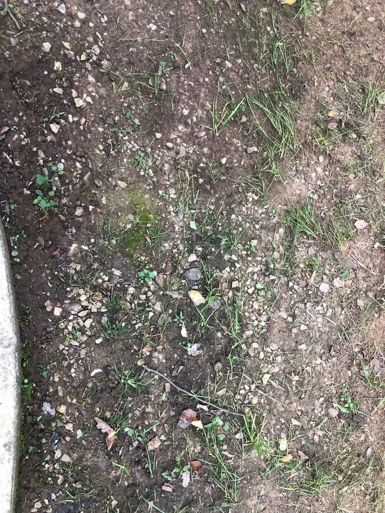 Trusted landscape installation experts serving Knoxville, TN - Ledington Landscaping