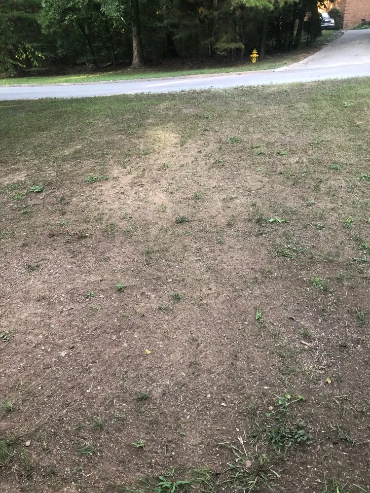 Expert yard cleanup service with custom design across Knoxville, TN - Ledington Landscaping