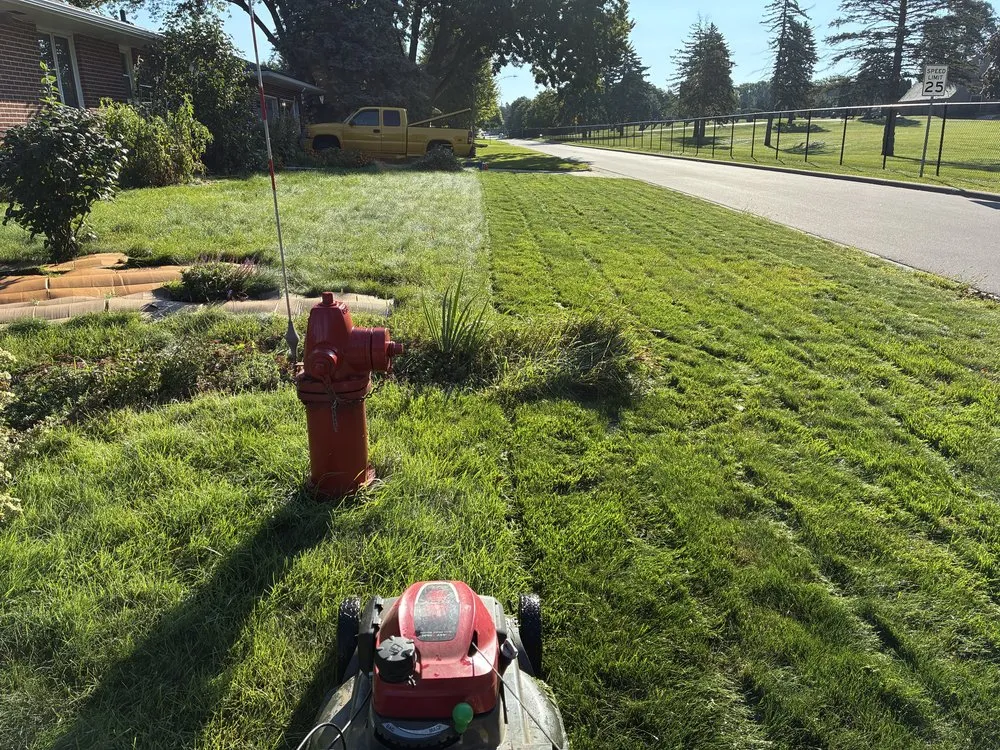 Affordable residential landscaping for beautiful yards in Roseville, MN by Ledo Brothers