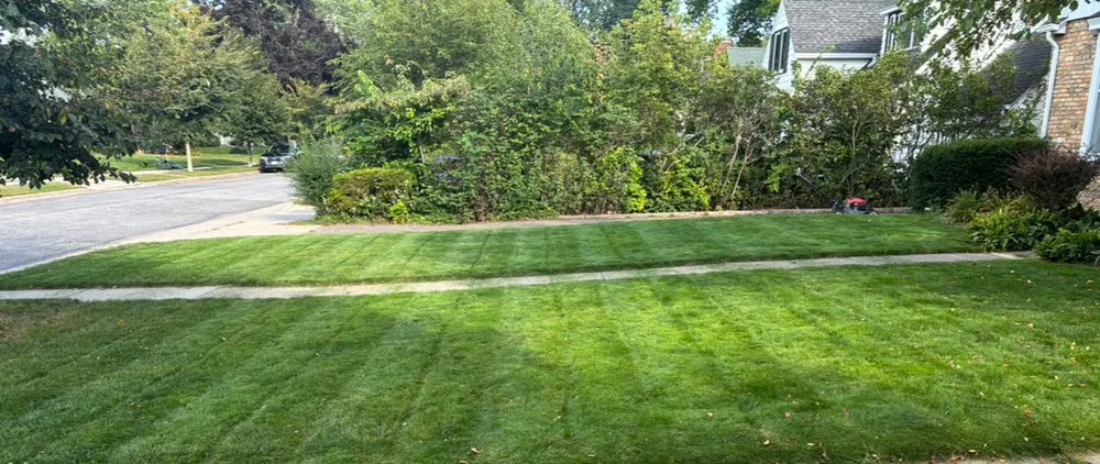 Top-rated landscaping services in Roseville, MN by Ledo Brothers