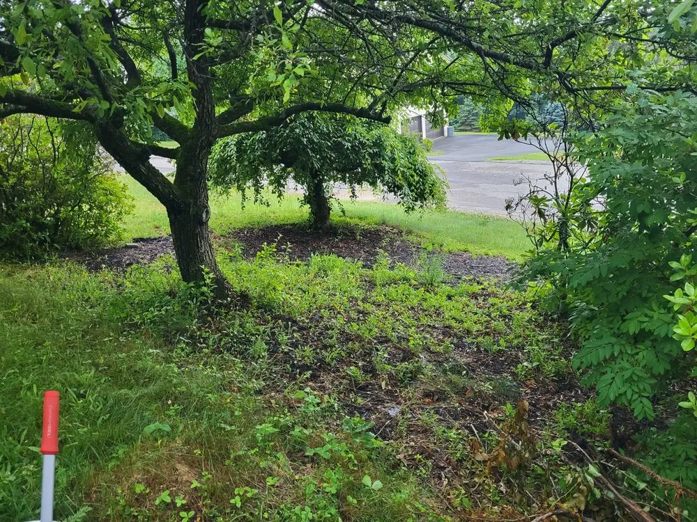 Top-rated lawn mowing service near you across Orange, MA - LeDuc's Landscaping