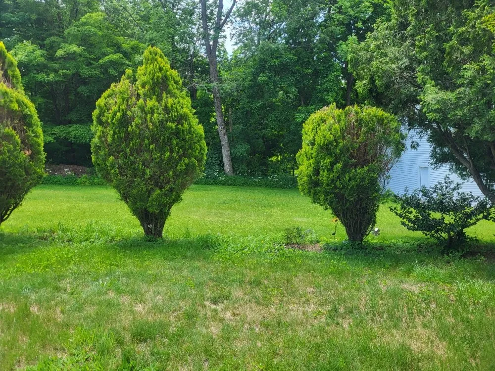 Reliable residential landscaping in Orange, MA by LeDuc's Landscaping