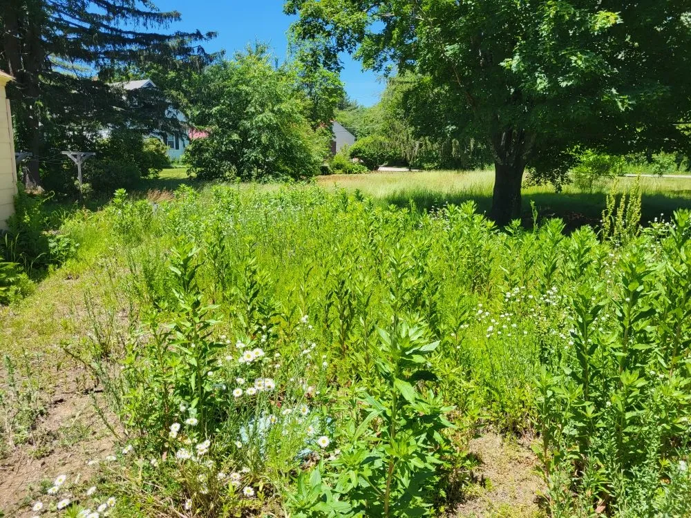 Reliable garden landscaping in Orange, MA by LeDuc's Landscaping