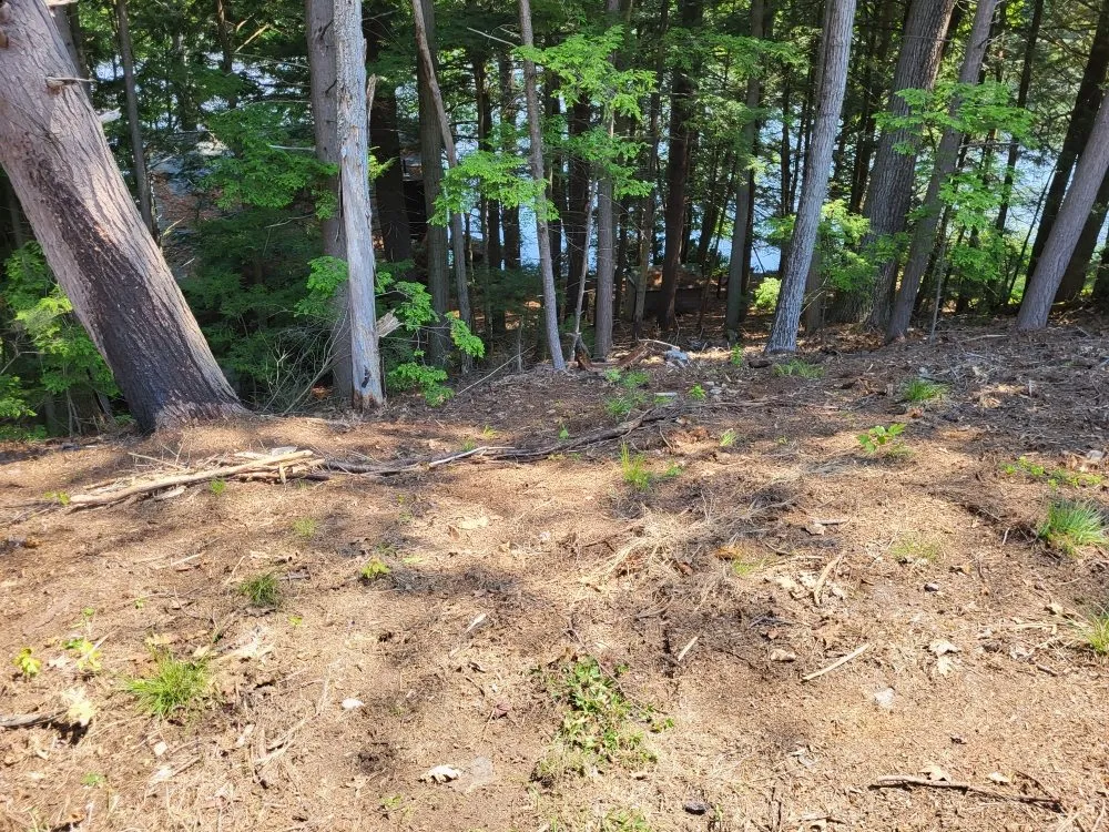 Trusted lawn care service experts serving Orange, MA - LeDuc's Landscaping