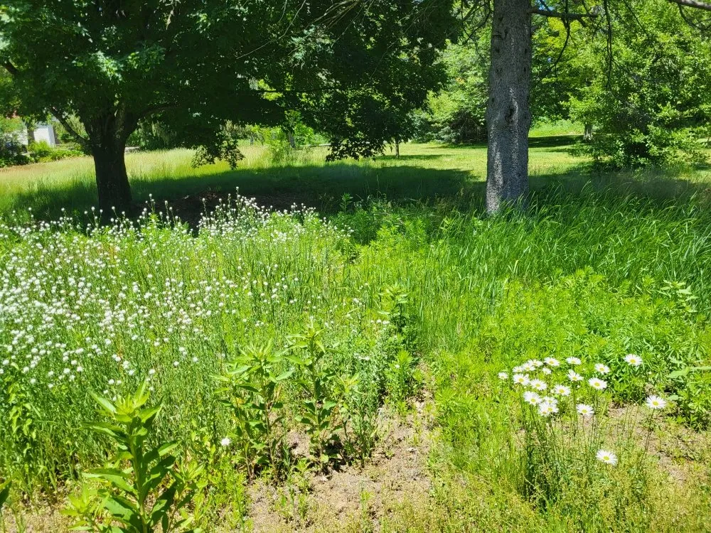 Trusted landscape installation for year-round maintenance in Orange, MA by LeDuc's Landscaping