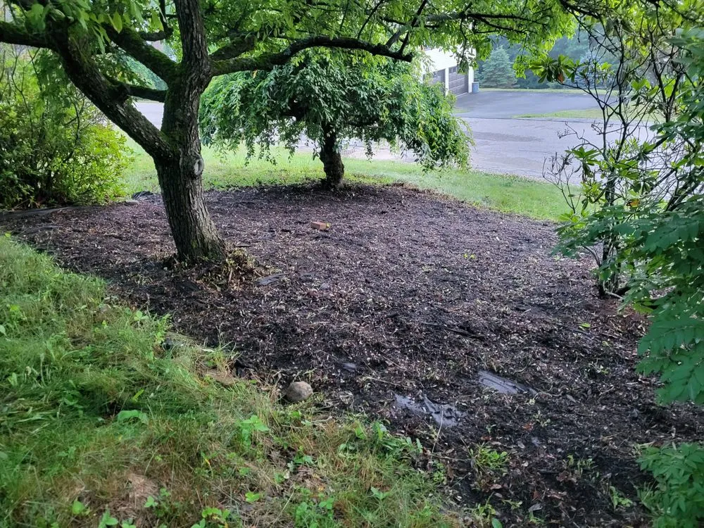 Affordable landscaping services in Orange, MA - LeDuc's Landscaping