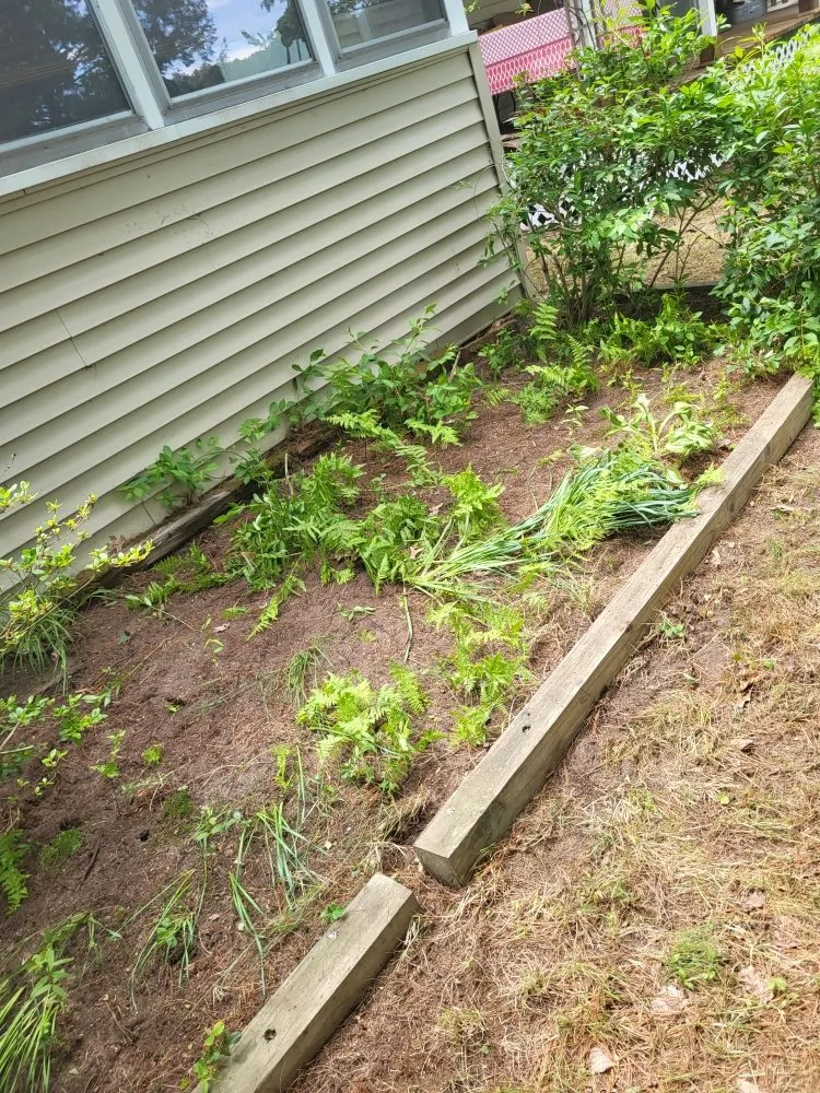 Reliable yard cleanup service in Orange, MA by LeDuc's Landscaping