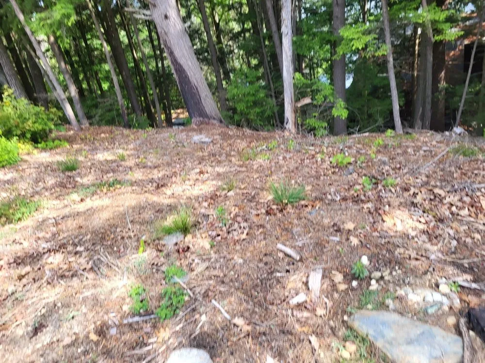 Professional landscaping services experts serving Orange, MA - LeDuc's Landscaping