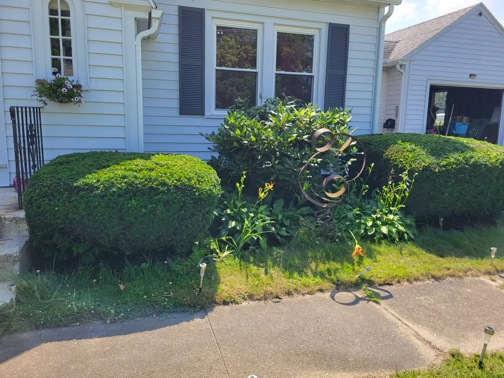 Affordable yard cleanup service in Orange, MA by LeDuc's Landscaping