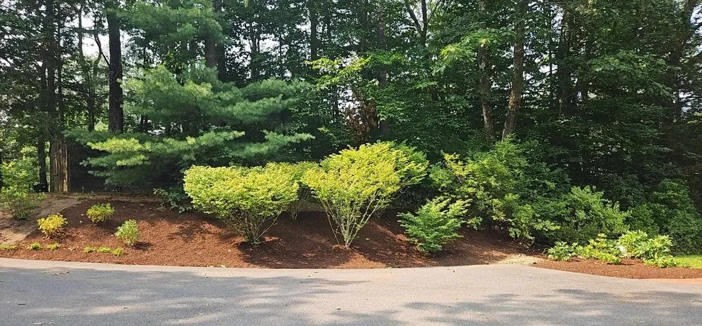 Professional yard cleanup service experts serving Orange, MA - LeDuc's Landscaping