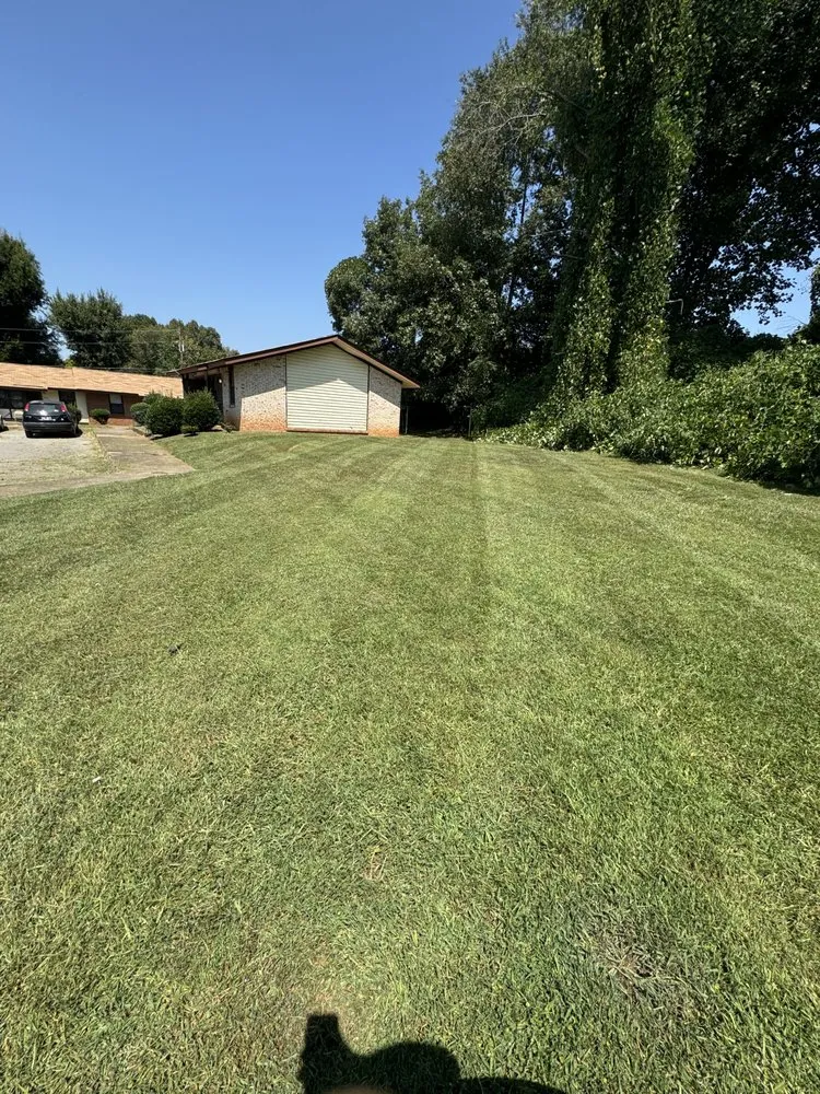 Top-rated residential landscaping for outdoor upgrades in Englewood, TN by Lee and Mckee