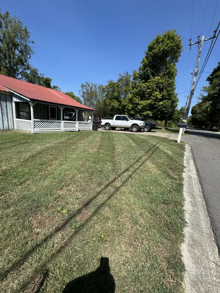 Custom yard cleanup service in Englewood, TN - Lee and Mckee